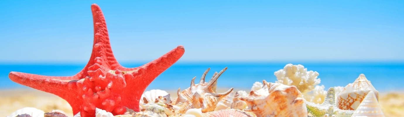 Защитете кожата си на плажа от силното лятно слънце